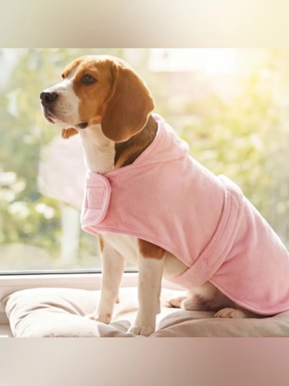 💞 New Large Soft Pink Puppy Dog Quick Drying Super Absorbent Bath Robe